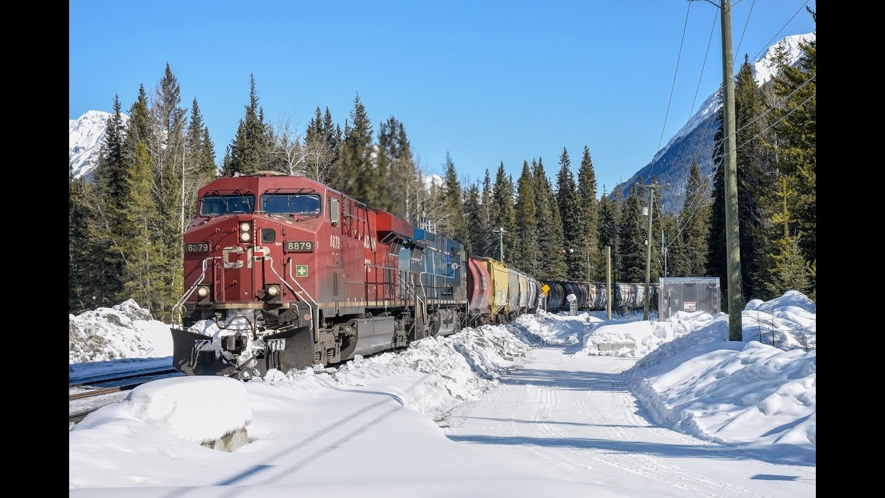 TVR Rail Spotting HD: CP 301 west at Ottertail east BC