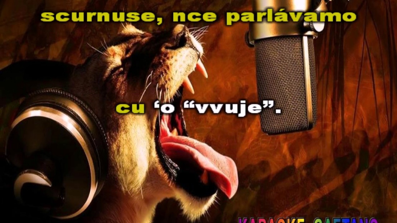Peppino di Capri Voce 'e notte Karaoke