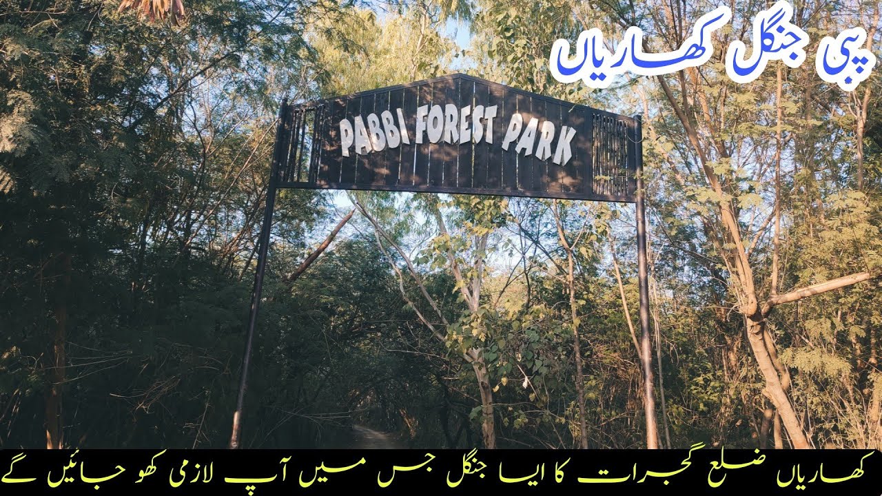 Pabbi Forest Park | Pabbi National Park Kharian Gujrat Pakistan | پبی جنگل کھاریاں | Pabbi Kharian