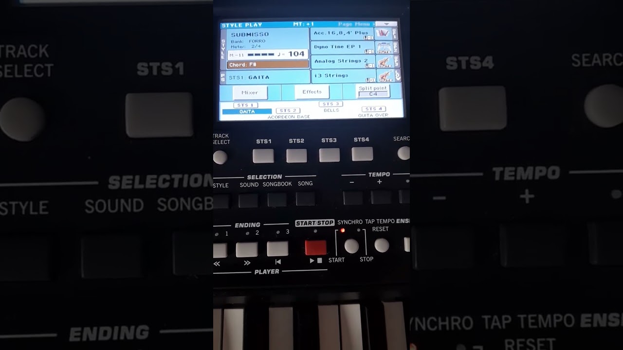 introdução korg pa 