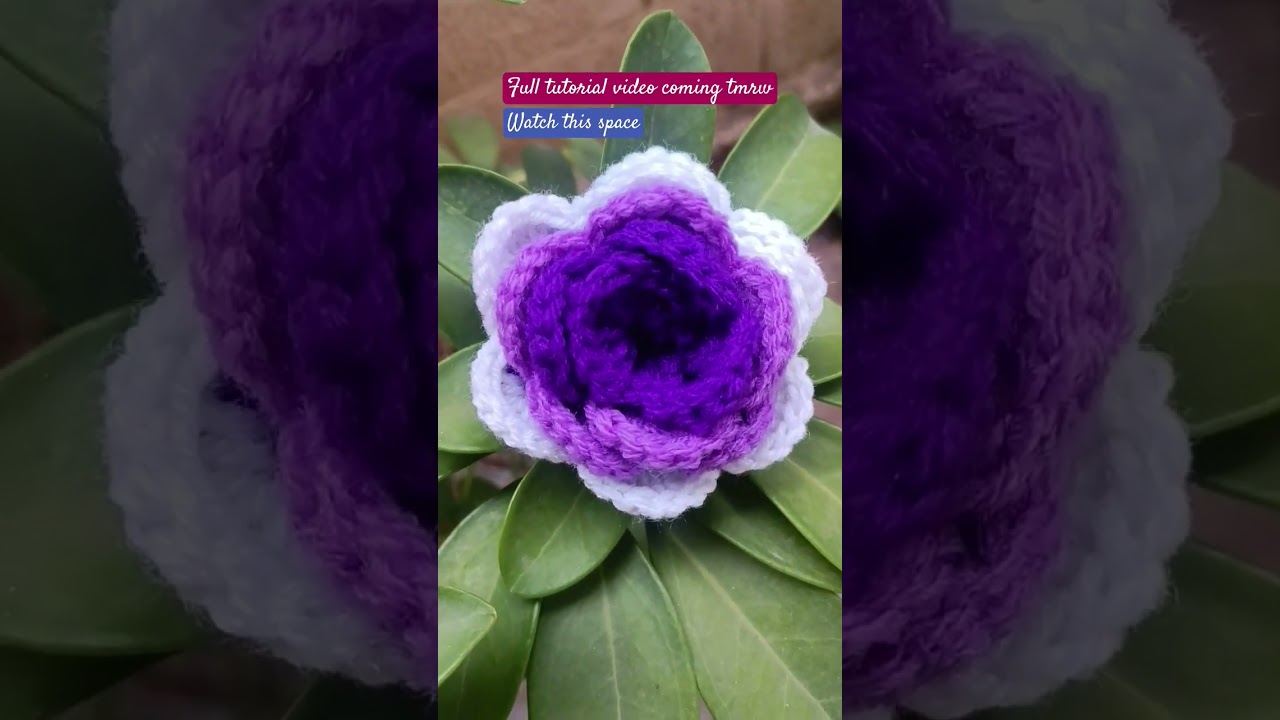 Crochet Beautiful Rose🌹#crochet #shorts #shortsvideo #crochettutorial #crochetintamil