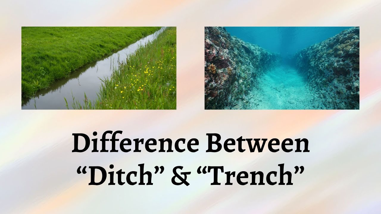 Difference Between Ditch and Trench | Exploring the Distinct Purposes of Ditches vs Trenches
