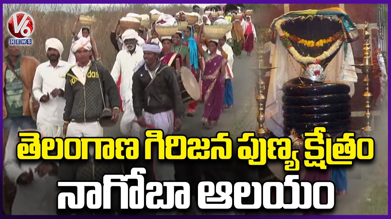 V6 Special Story On Tribal Festival Nagoba Jatara | Keslapur | Adilabad | V6 News