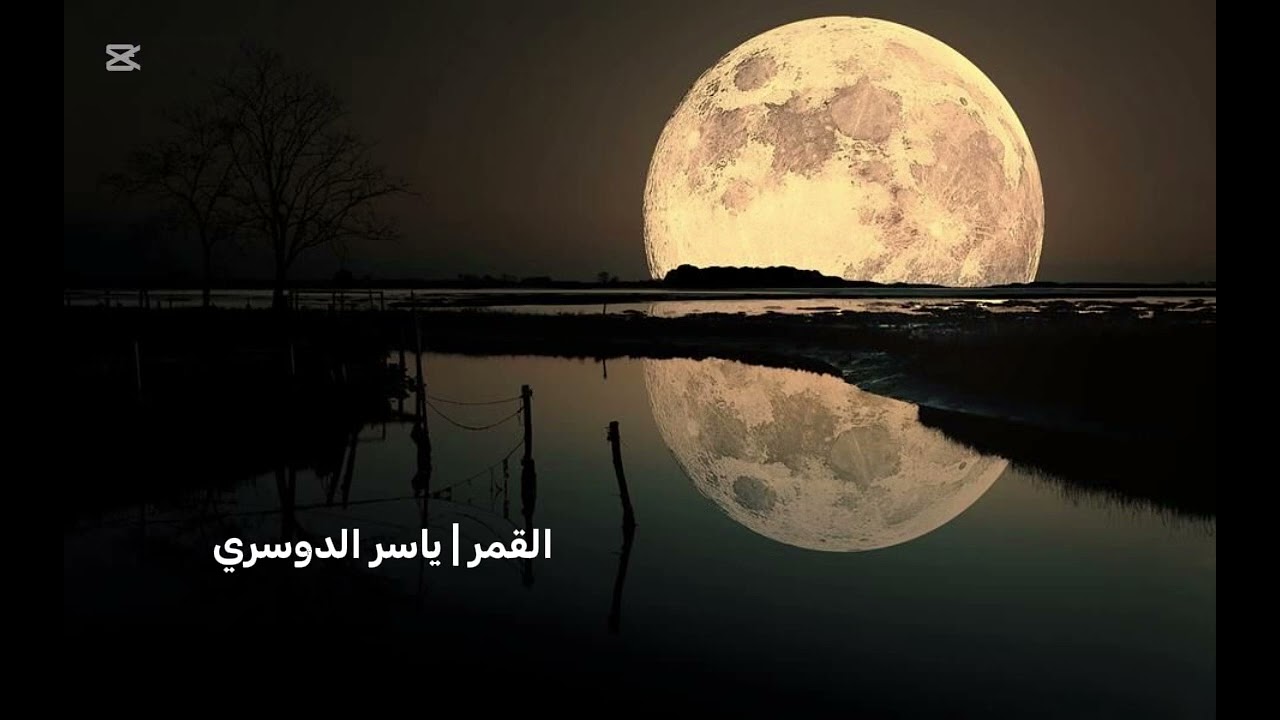 تلاوة خاشعة للشيخ ياسر الدوسري | سورة القمر 🌕🤍