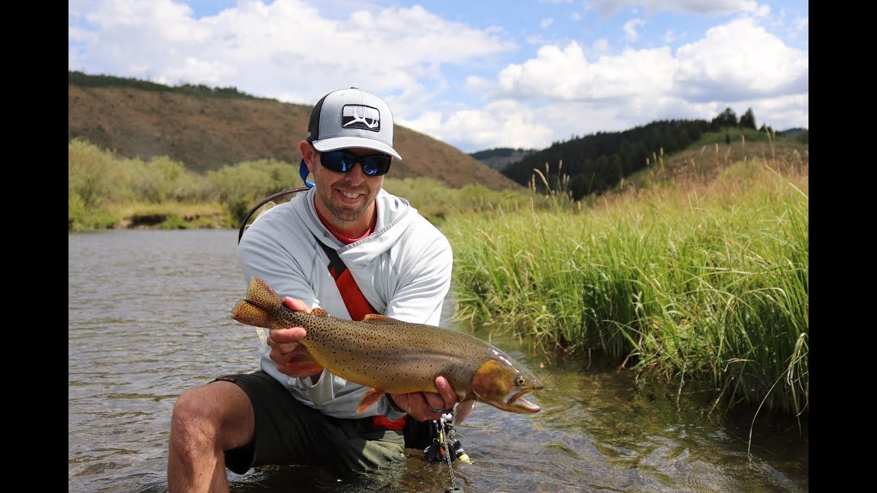 CATCHING BIG YELLOWSTONE CUTTHROATS ON THE HOPPER
