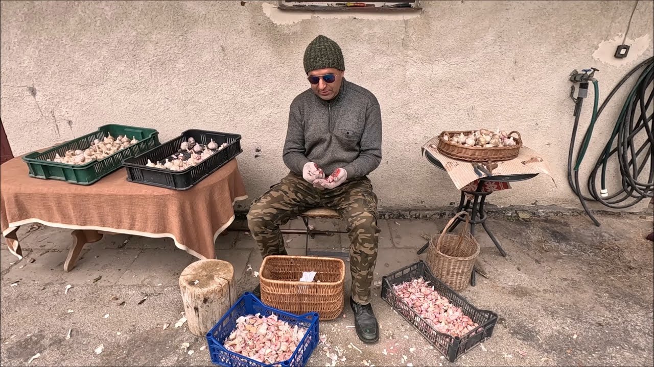 Sadzenie Czosnku Harnaś/ Przygotowania do Zimy/ Regeneracja Kół/ Czyszczenie Malowanie