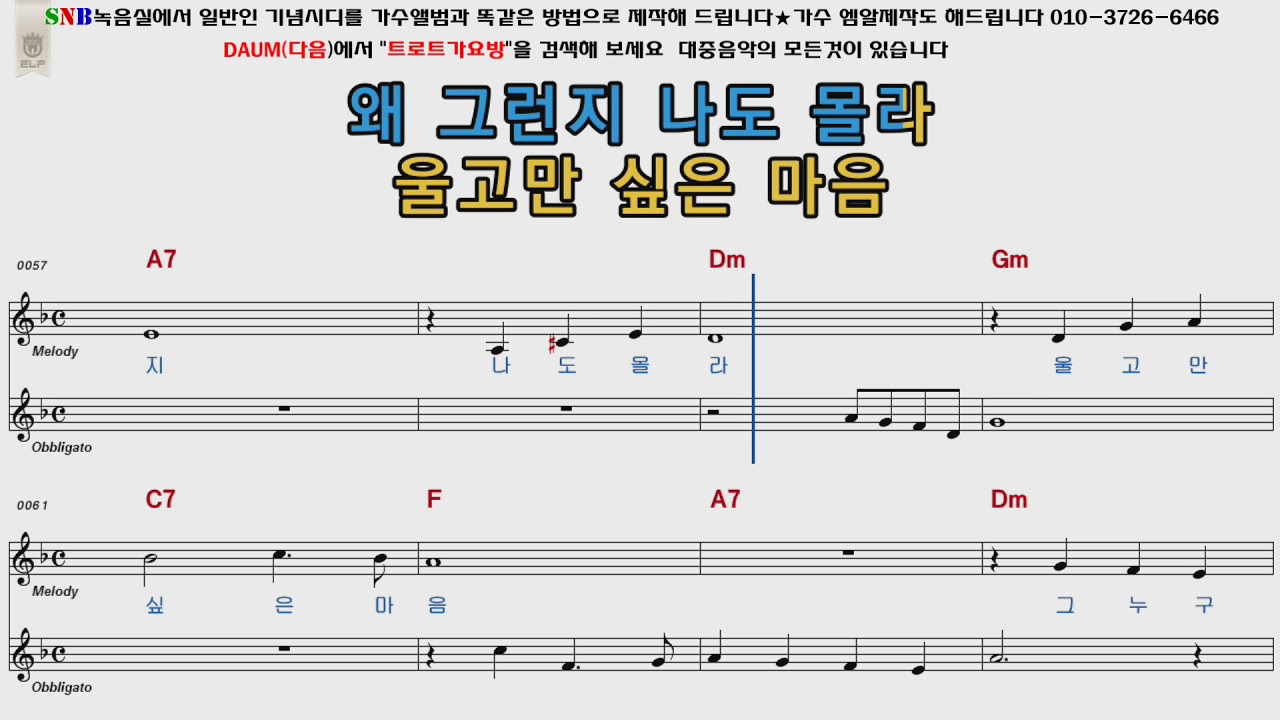 배호 울고싶어