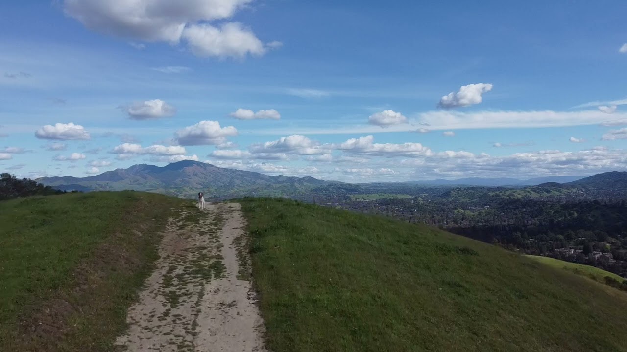 Lafayette Ridge,  Briones Regional Park Lafayette, Ca