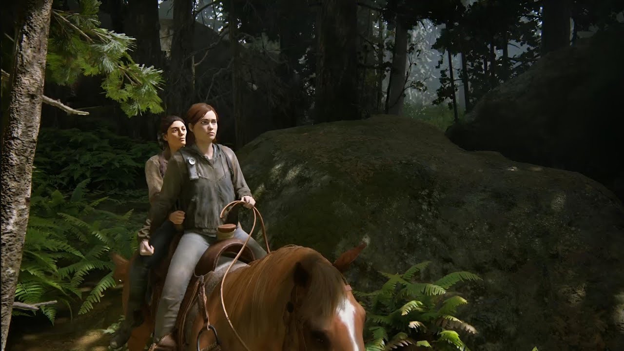 The last of us II (Playstation 4 PRO)