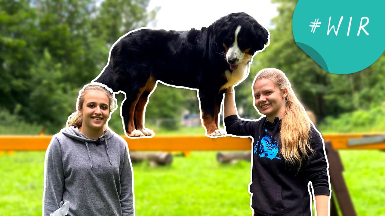 Mobility: Training mit dem Hund| WIR - Freundschaft grenzenlos