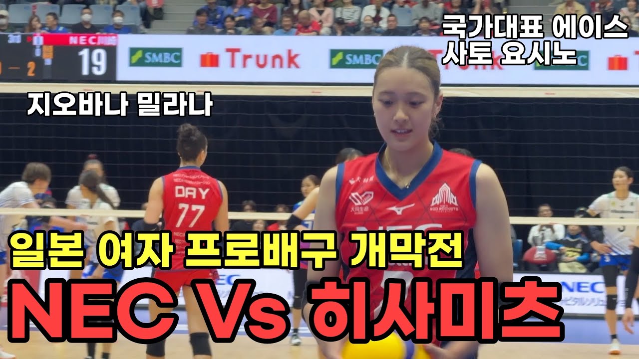 25-26시즌 일본 여자 배구 개막전 직관 Vlog | NEC Vs 히사미츠