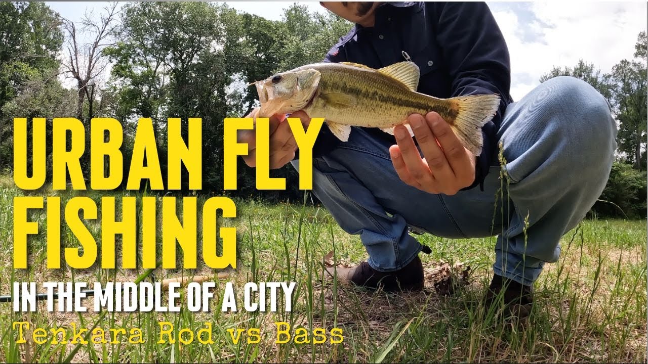 Urban Creek Bass Fishing | Tenkara Fly Fishing