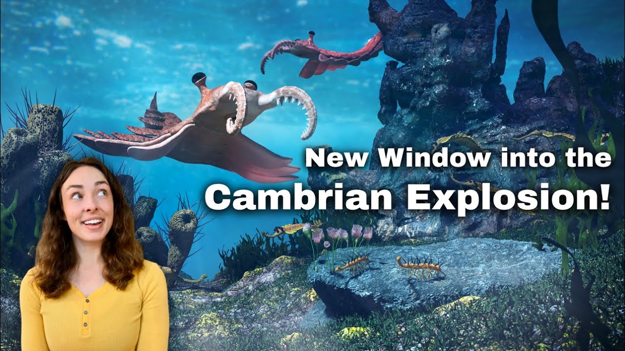 New Study Provides Insight Into the Ediacaran-Cambrian Transition Using Chert Fossils! GEO GIRL