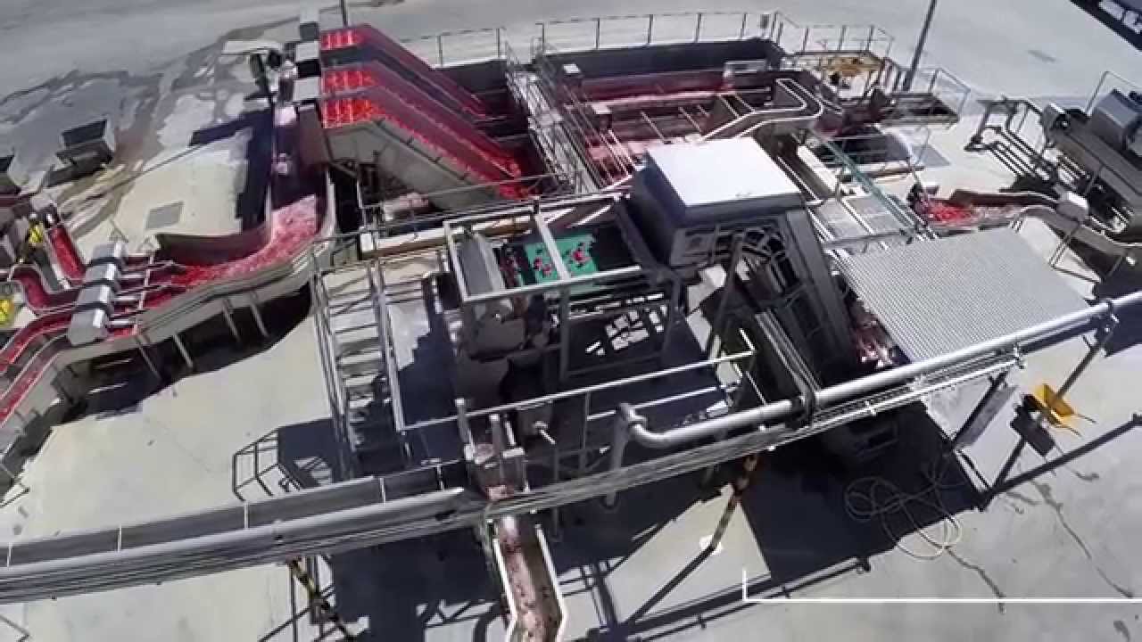 CFT Group - Diced Tomatoes and Tomato Paste Lines for Pronat