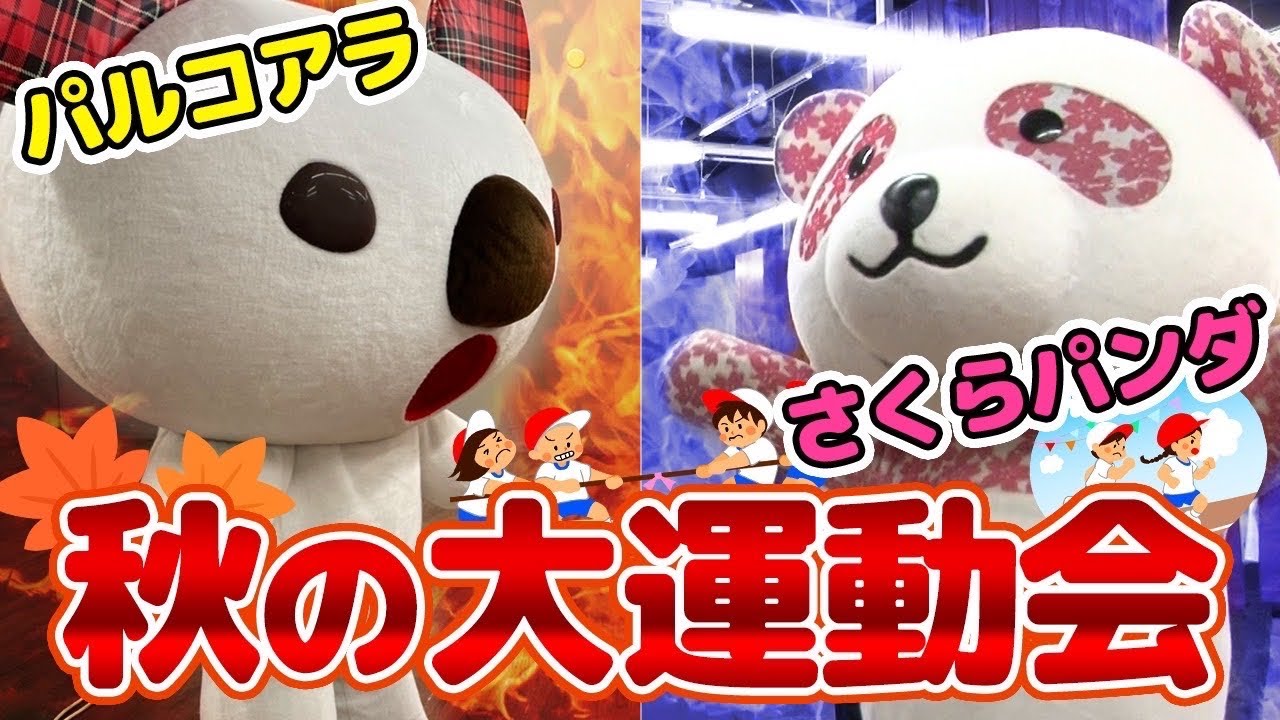 【コラボ】パルコアラ×さくらパンダ「秋の大運動会」開催！