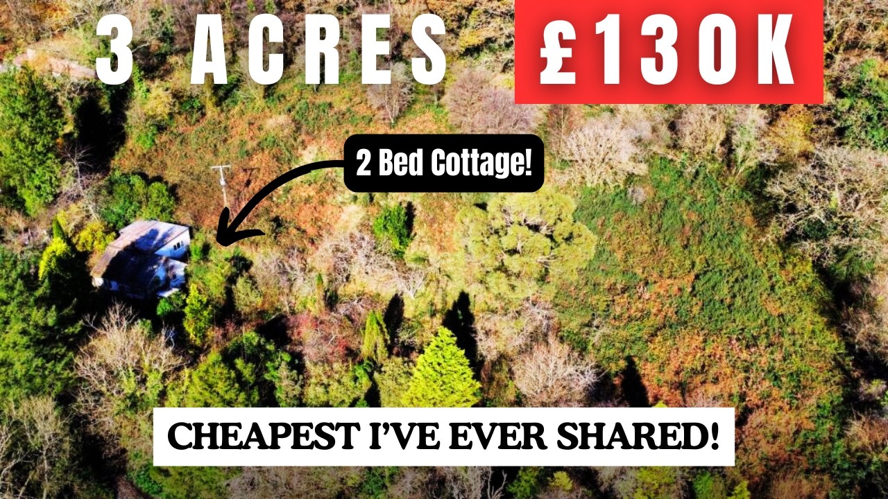 Cheap Smallholding...&pound;130K For 3 Acres and a 2 Bed Cottage!