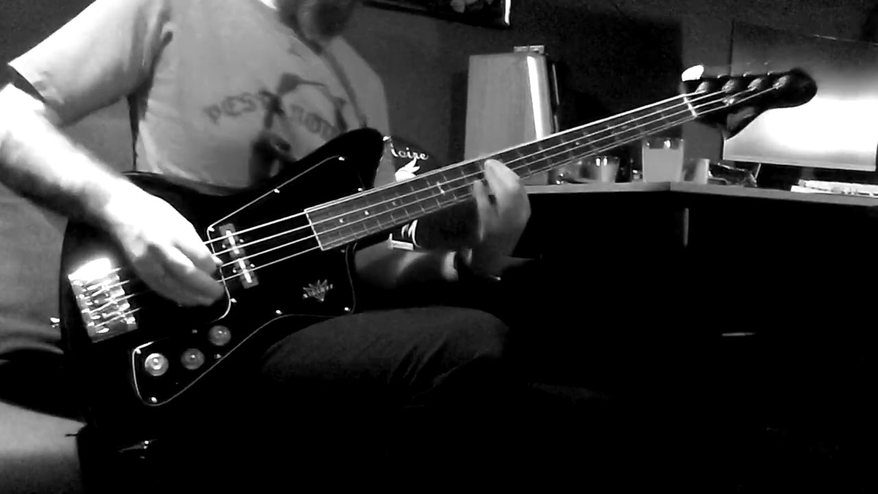 Peste Noire - Chiendent / bass cover