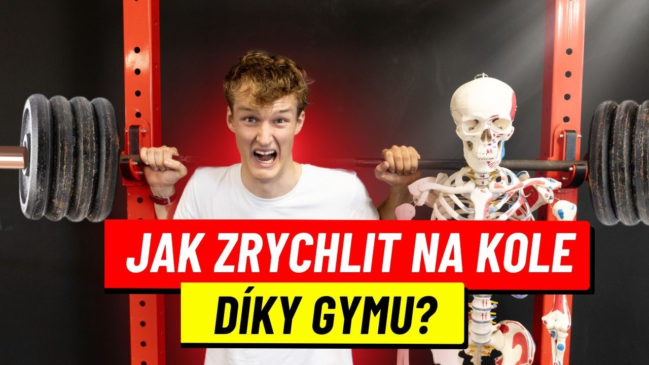 Jak vypad&aacute; spr&aacute;vn&yacute; cyklistick&yacute; tr&eacute;nink v posilovně?