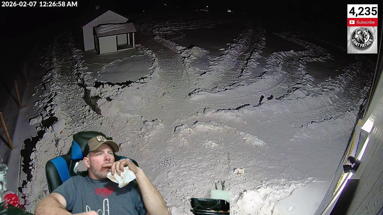 LIVE CAMS - The Goat Farm - fri night