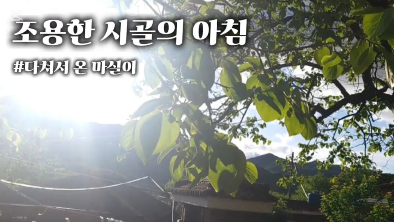 EP.5하동 시골집 |  길고양이, 마실이 부상 | 시골의 아침, 자연과 함께 힐링
