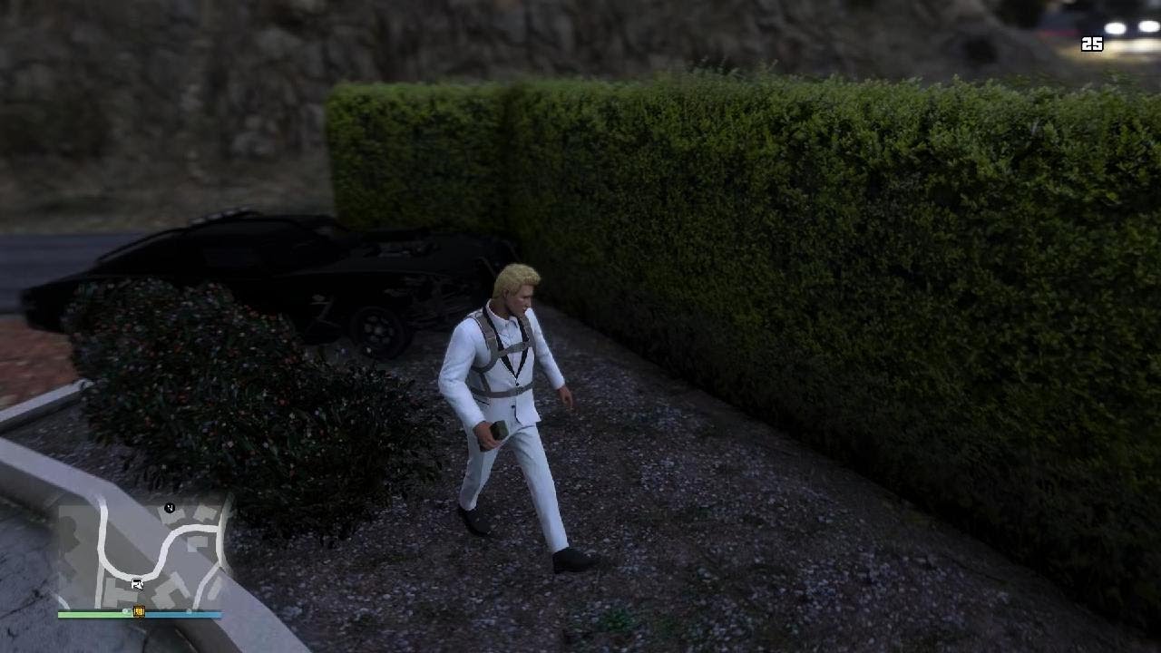 Playing GTA5