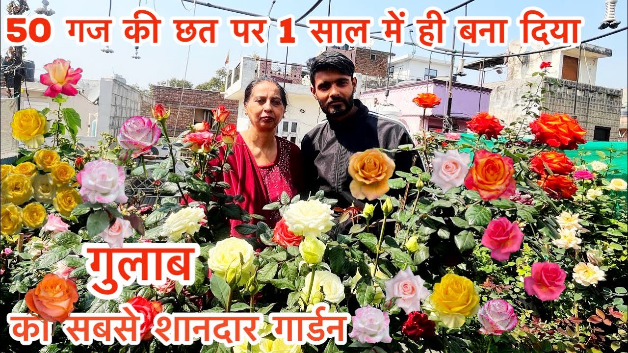 दिल्ली में 50 गज़ की छत पर ऐसा Rose गार्डन क्या आपने देखा है । 200 + वेराइटी के गुलाब हैं इस छत पर ।