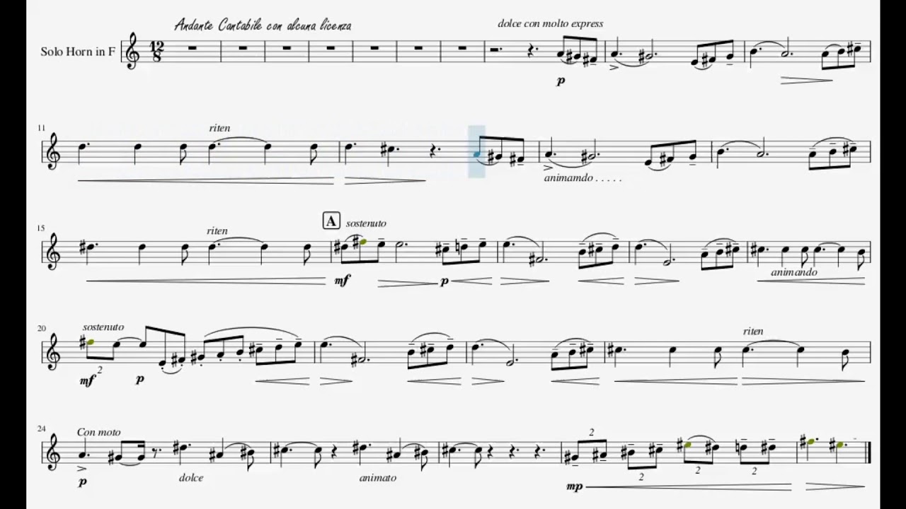 French Horn Karaoke - Tchaikovsky 5th Symphony 2nd Movement Horn Solo
