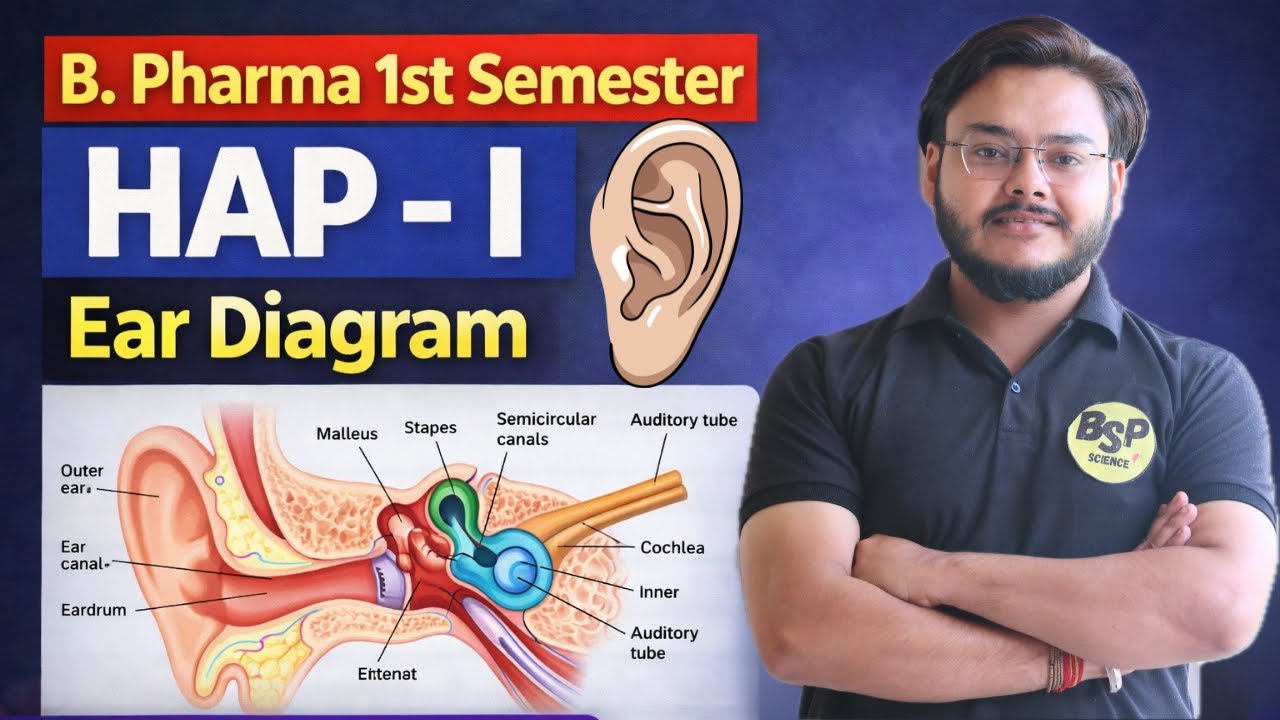 Very Important Video for all of You | Ear Diagram | B. Pharma 1st Semester HAP - I | Punit Sir