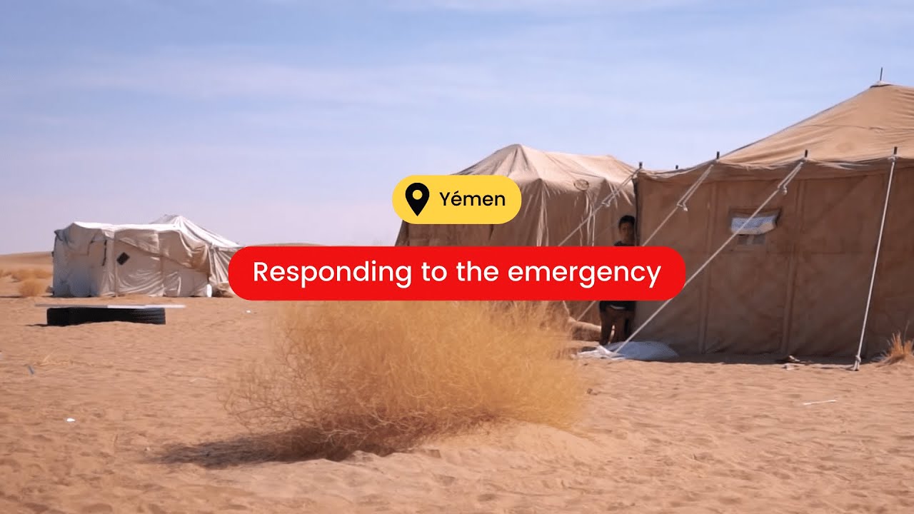 Yemen | responding to the emergency