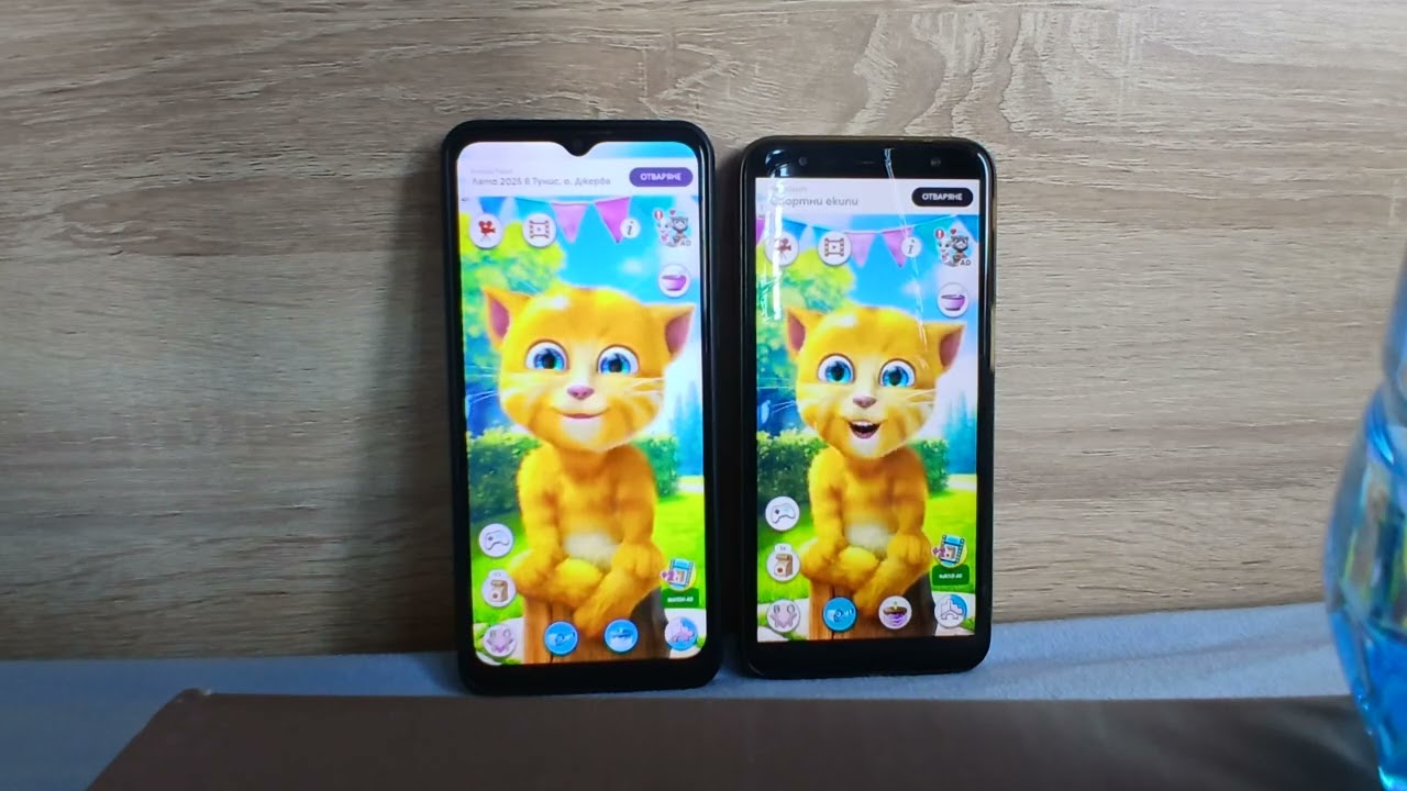 Talking Ginger 2 vs Talking Ginger 2 Echo 61