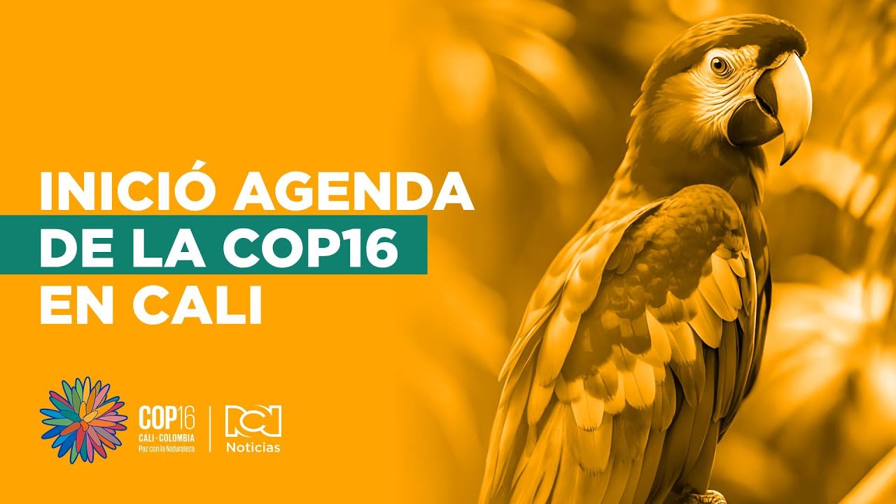 Inició la agenda académica de la COP16 en Cali
