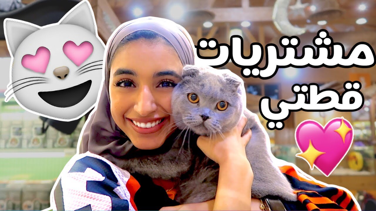 مشتريات قطتي 🐨💖🛒