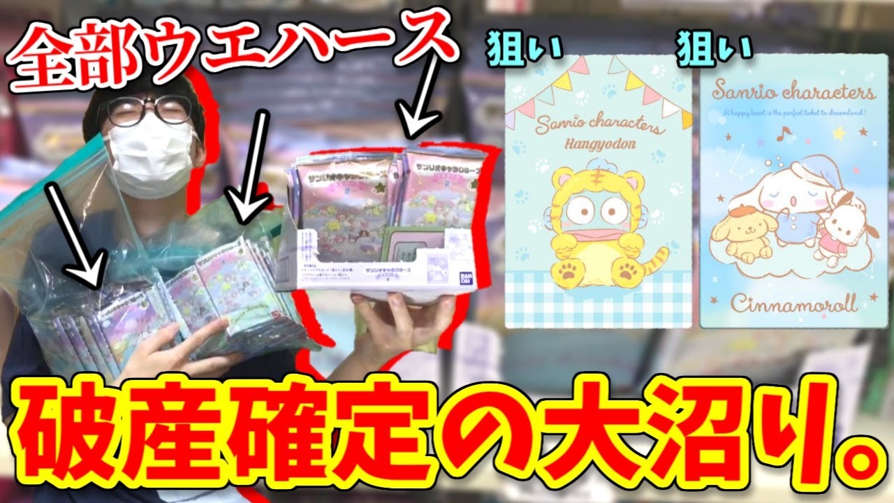 推しのためにサンリオウエハース買い続けた末路…闇が深すぎた。【ハンギョドン、ガチャガチャ】