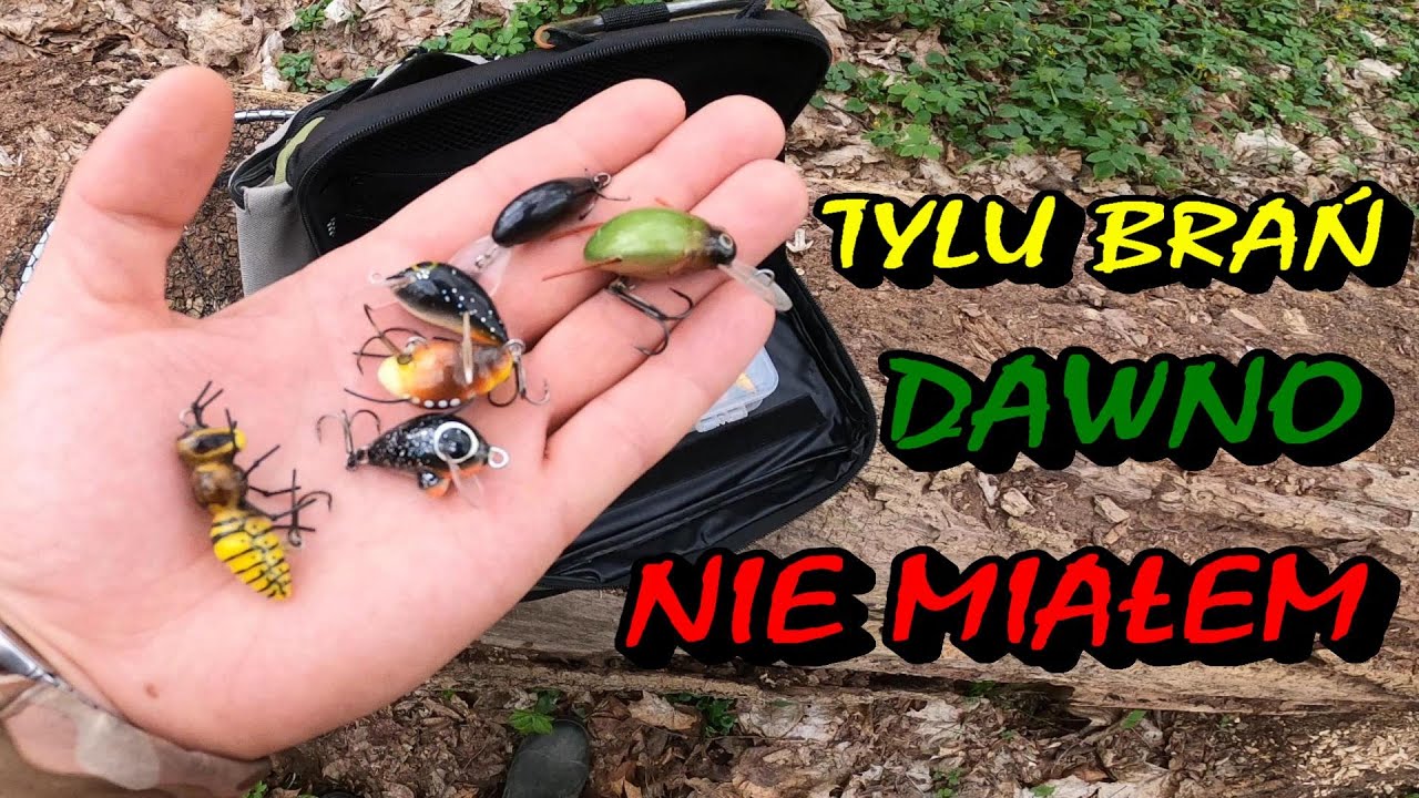 WIOSENNE WĘDKOWANIE NA SPINNING / KLENIE JAK ? GDZIE ? I NA CO ? / WĘDKARSTWO 2024