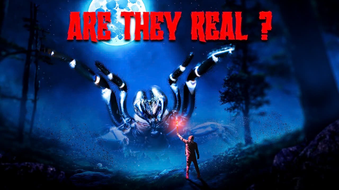 Is The Big Spider J'ba FoFi Real? You Will Think Again After Watching This Video