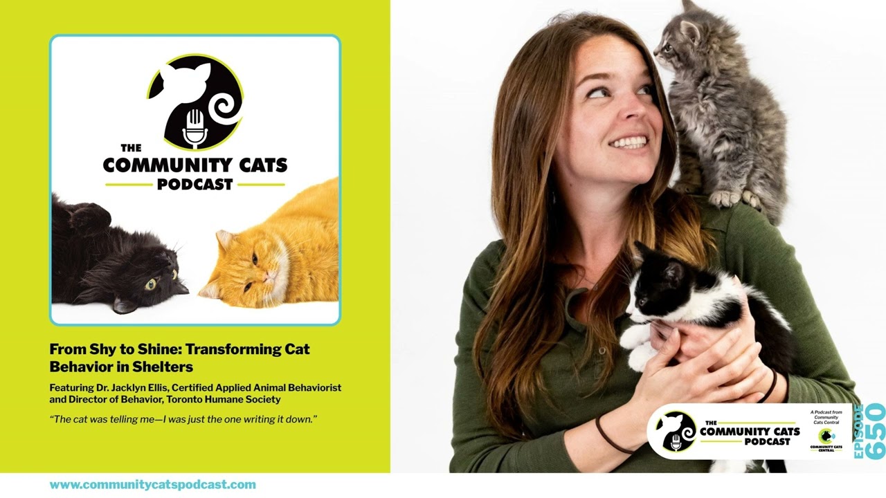 Ep 650: From Shy to Shine: Transforming Cat Behavior in Shelters with Dr. Jacklyn Ellis,...