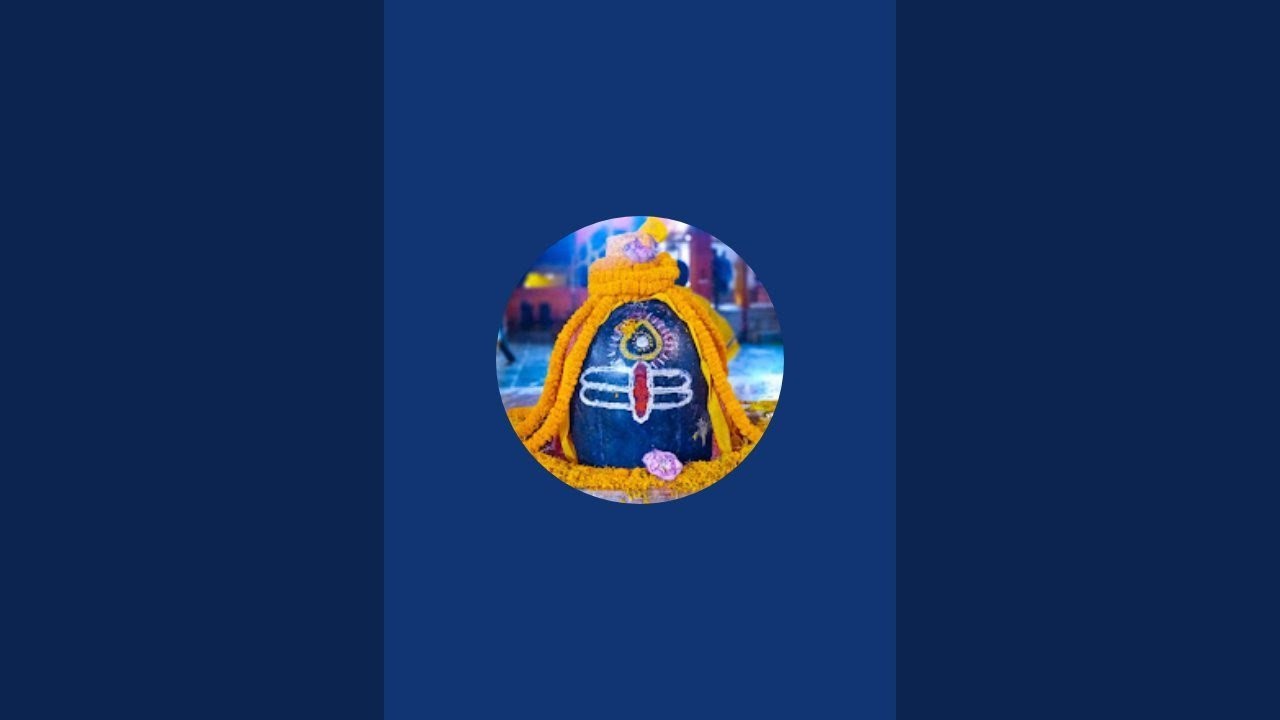 pookee is live!