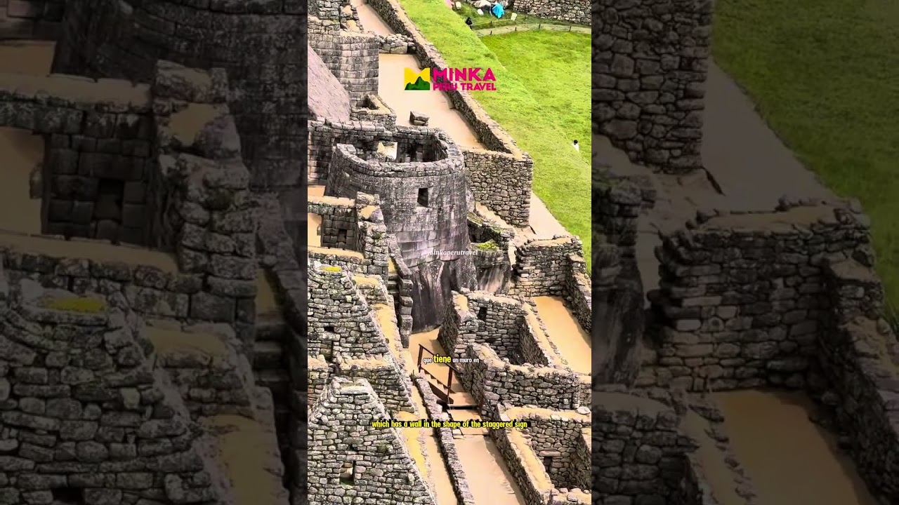 LOS ELEMENTOS DE LA VIDA QUE CONOCIERON LA VIDA