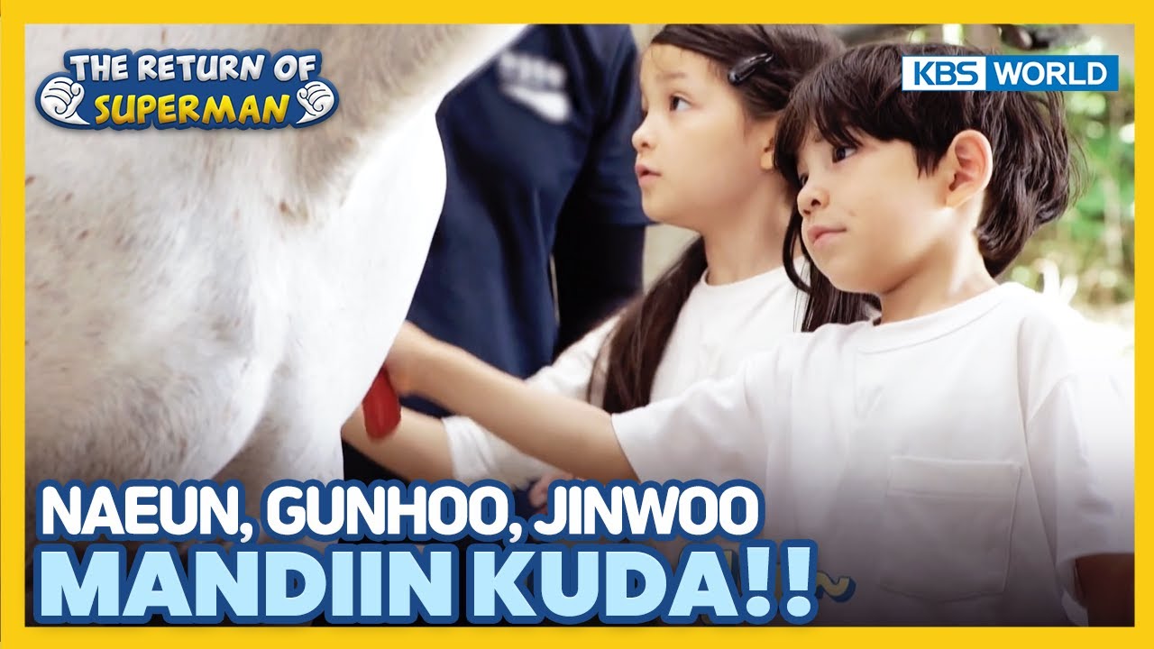 [IND/ENG] Kenapa JinGunNavely hebat dalam segalanya?? | The Return of Superman | KBS WORLD TV 230723