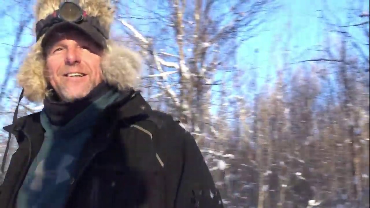 Vivre en foret avec une meute de chien au Québec