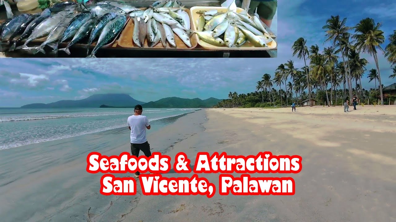 Seafoods Mura at Sariwa Kaya??? | Tourist Attractions na Dinarayo | San Vicente, Palawan