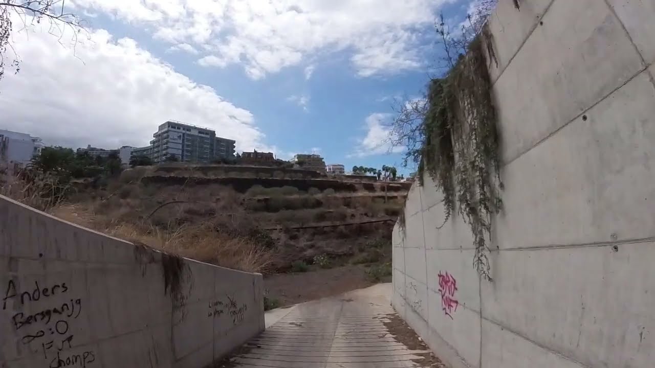 Puerto de la Cruz - Botanico