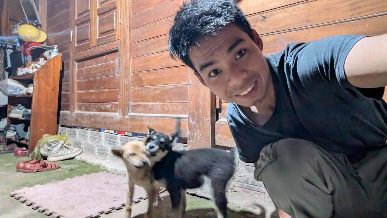 Bé Đen Có Bé Vàng Làm Bạn Rồi