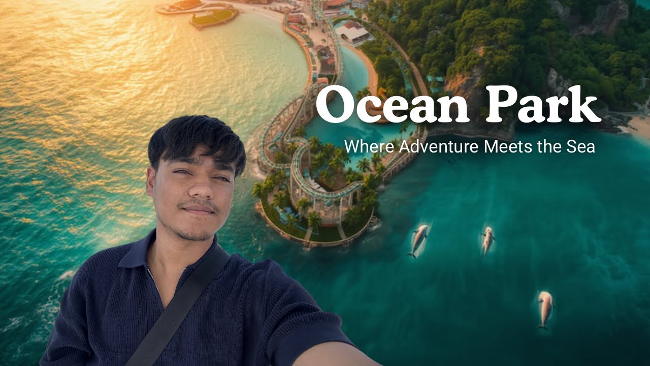 Ocean Park Hong Kong: Ultimate Day Out! Rides, Views & Sea Life