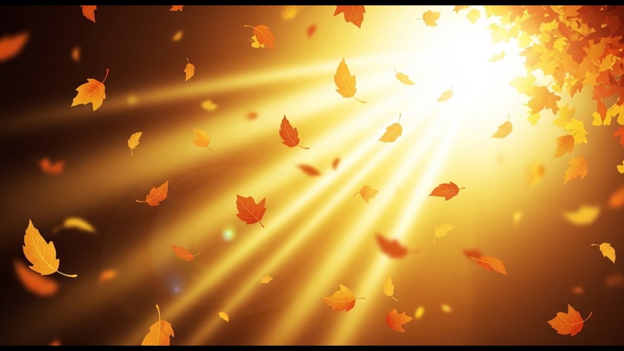 Dancing Leaves Swish Swish | Fun Nature Song for Kids | Toddler Sing Along