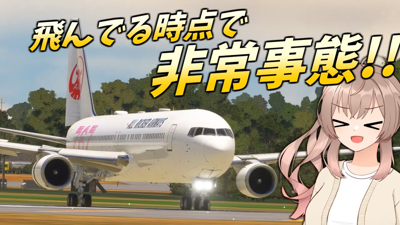 飛んでる時点で非常事態なエアライン【MSFS】