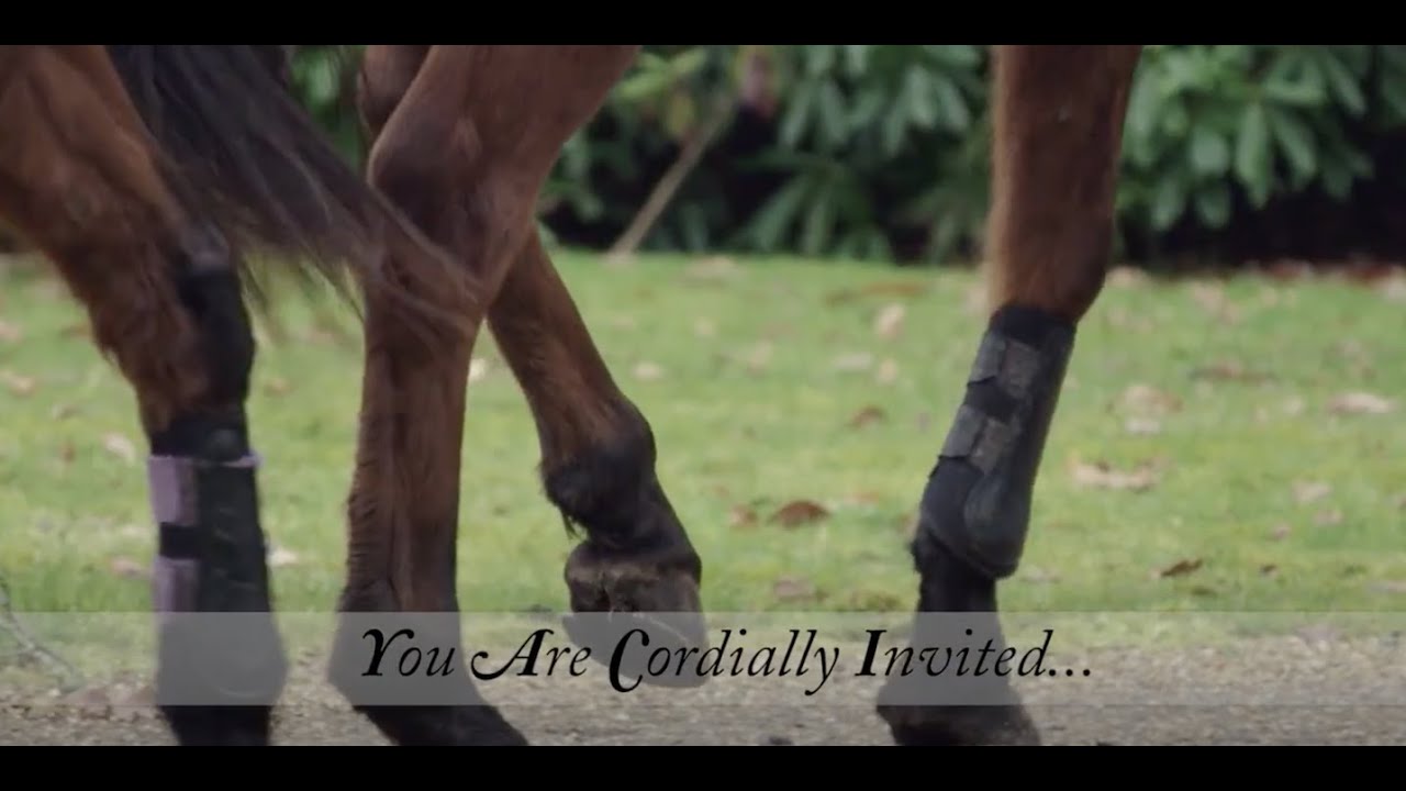 You Are Cordially Invited, Highclere Trailer