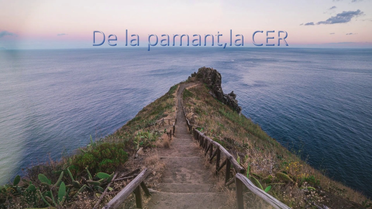 Manu Negrea - De la pamant,la cer