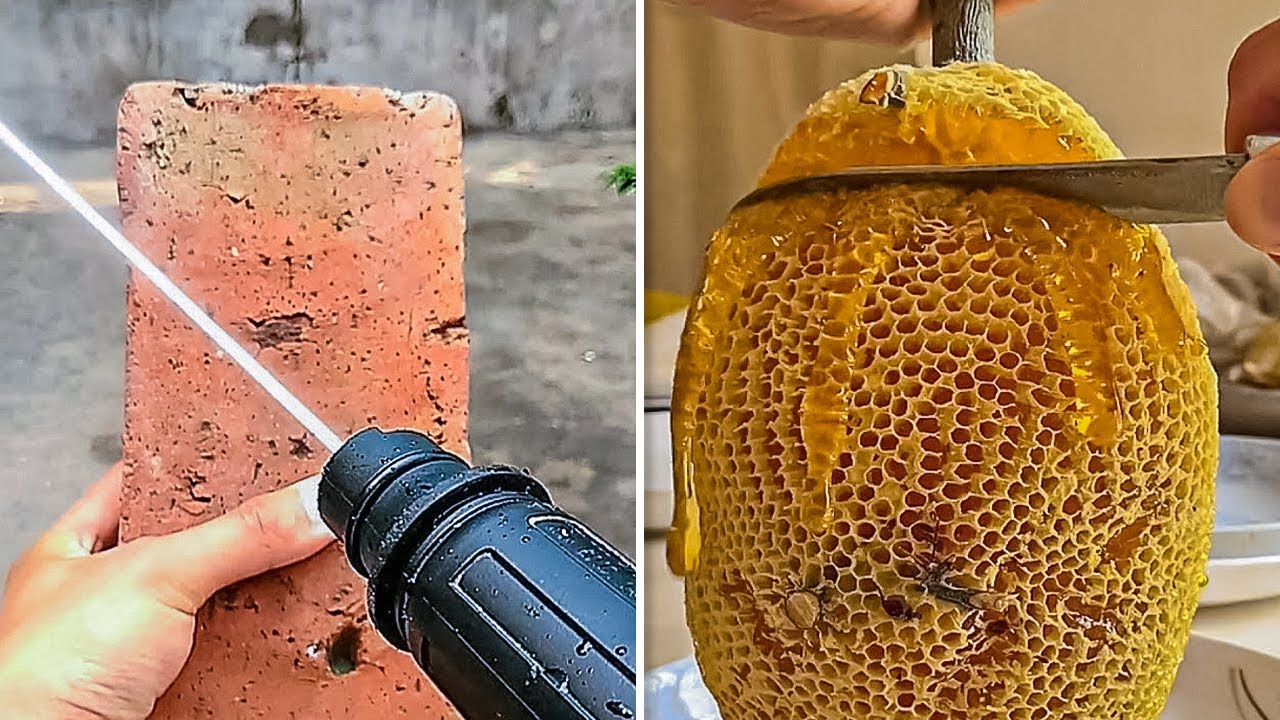 VIDEOS QUE SATISFACEN A MILLONES DE ESPECTADORES EN TODO EL MUNDO
