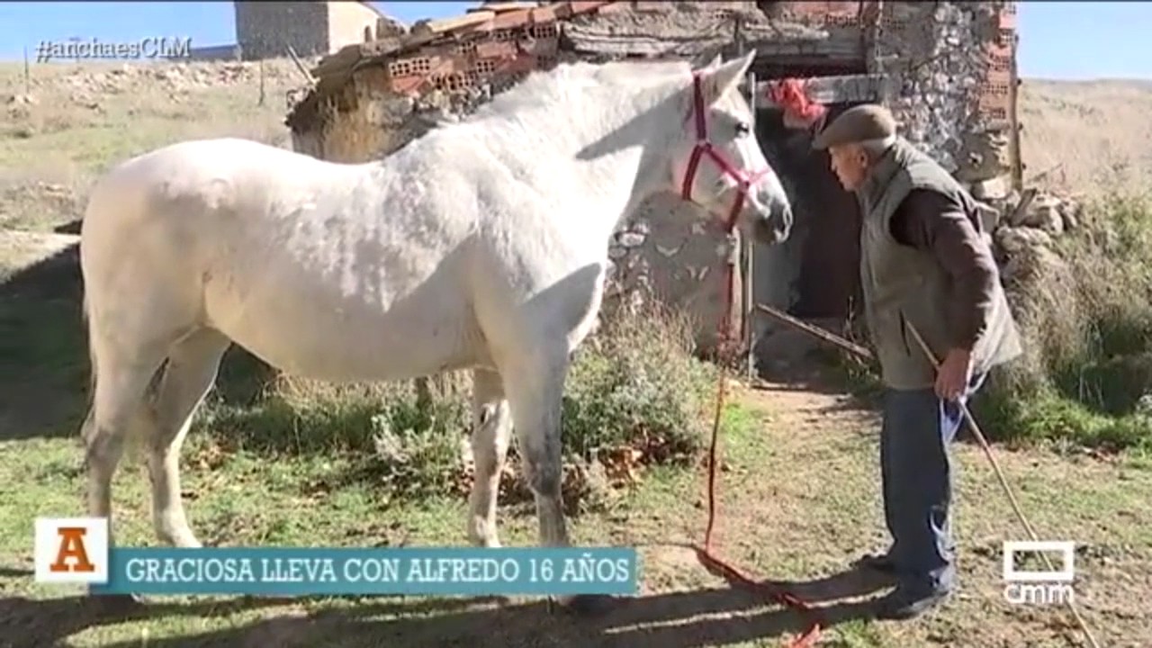 La yegua, Graciosa, y su amigo y adiestrador, Alfredo. 15/11/2016.